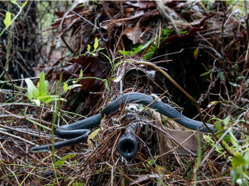 Alabama national guard sniper snake