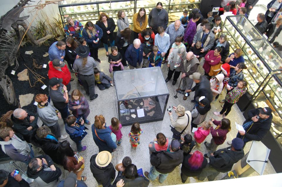 Spectators gather to inspect the fossilized oviraptor eggs and nest donated to the Sherman Dugan Museum of Geology at the San Juan College School of Energy during an unveiling ceremony on Tuesday, Nov. 15 in Farmington.
