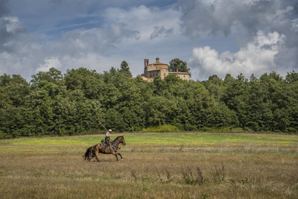 Buttero (Maremma cowboy), horseback riding, passage of Transumando near San Galgano Abbey