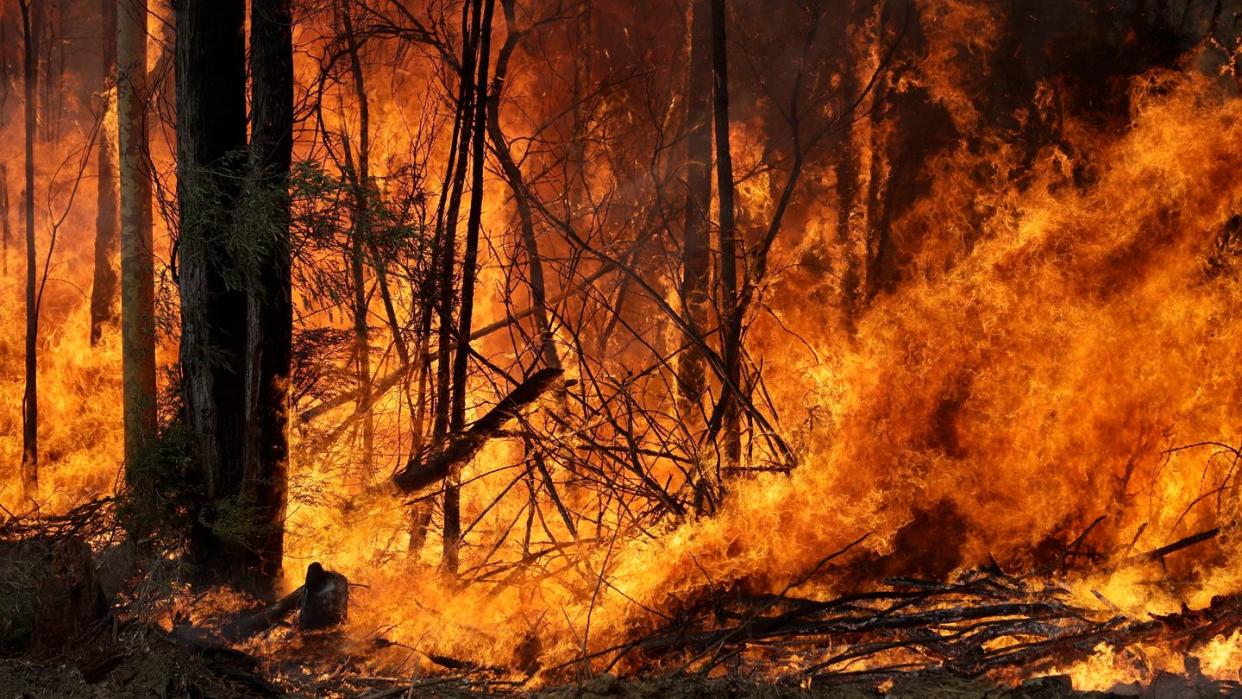 Waldbrände - wie hier in Australien - und andere Naturereignisse gefährden vor allem Menschen, die nicht sozial abgesichert sind.