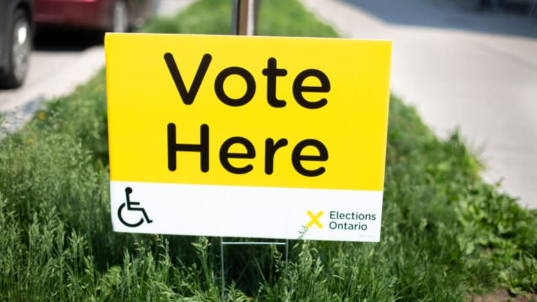 Permanent residents want to vote in Toronto this fall, but there's little hope for electoral reform