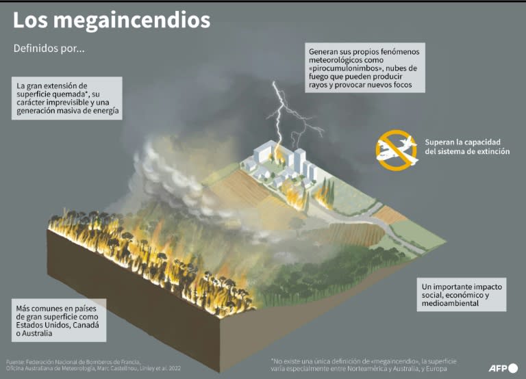 Las principales características, tanto físicas como por su impacto, de los "megaincendios" forestales (Helena Gisbert Sánchez)