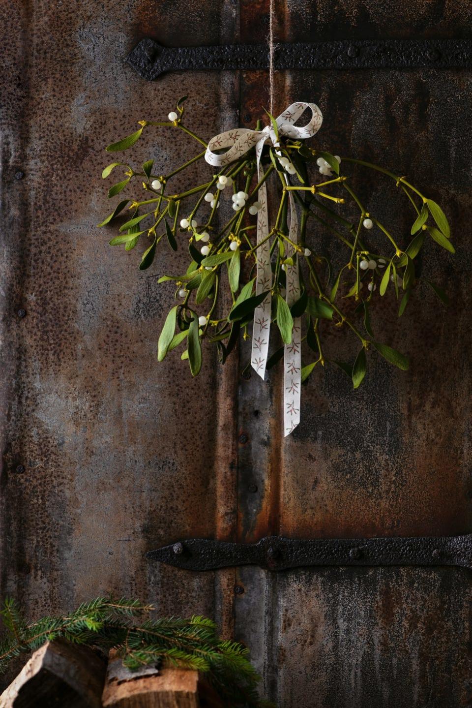 christmas mistletoe plant with berries tied in a bunch with a bow hanging on an old rustic door es a home decoration still life