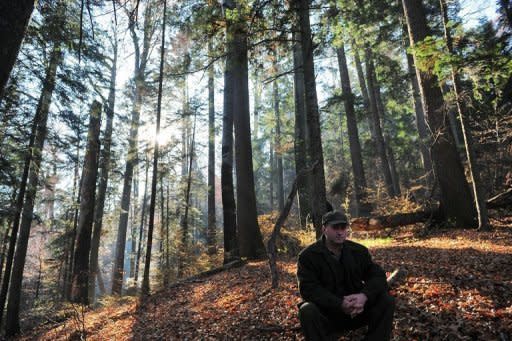 A forest guard sits on a log in the Charpatian mountains. Thanks to tougher controls, seizures of illegally logged wood soared from 189,892 cubic metres in 2010 to 134,883 cubic metres in the first six months of 2011 alone