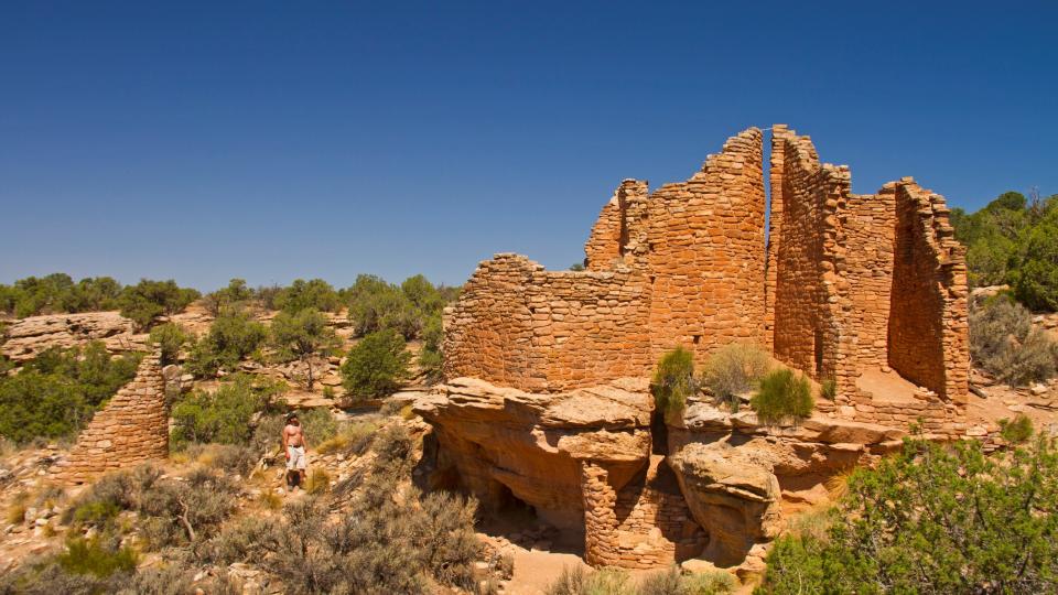 a person stand next to a ruin beneath a blue sky and surrounded by small green shrubs.