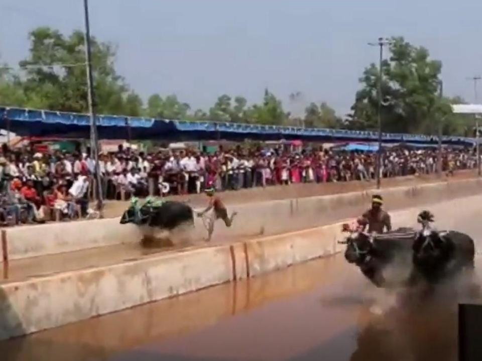 Competitiors race at kambala: Screengrab