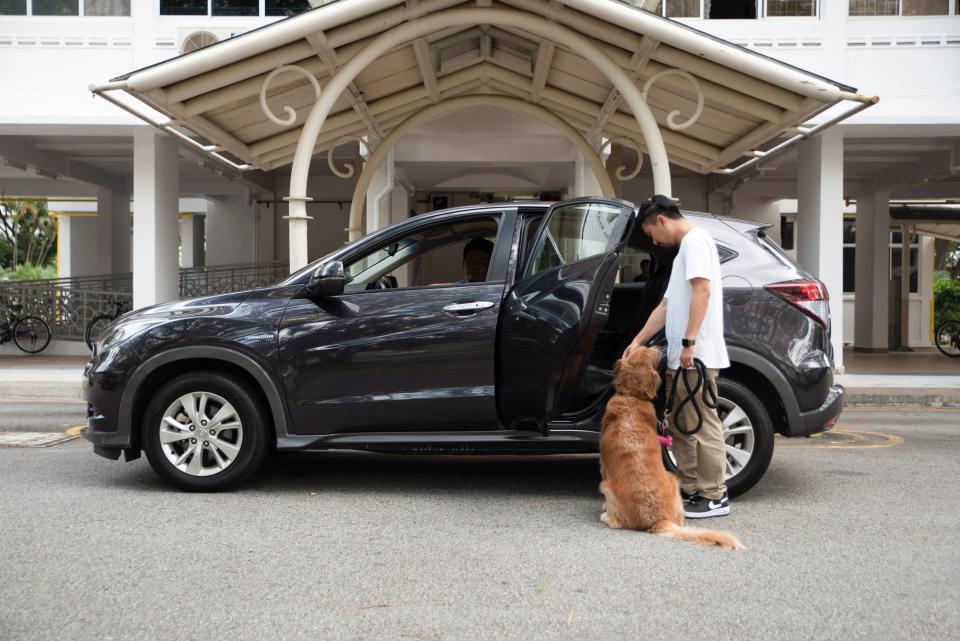 GrabPet Beta is available from 20 February, 2019, with fares starting at $14. (PHOTO: Grab)