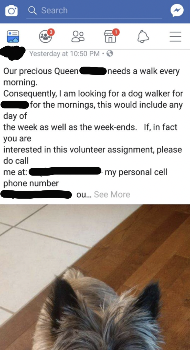 A post that asks someone to walk their dog as a "volunteer assignment"