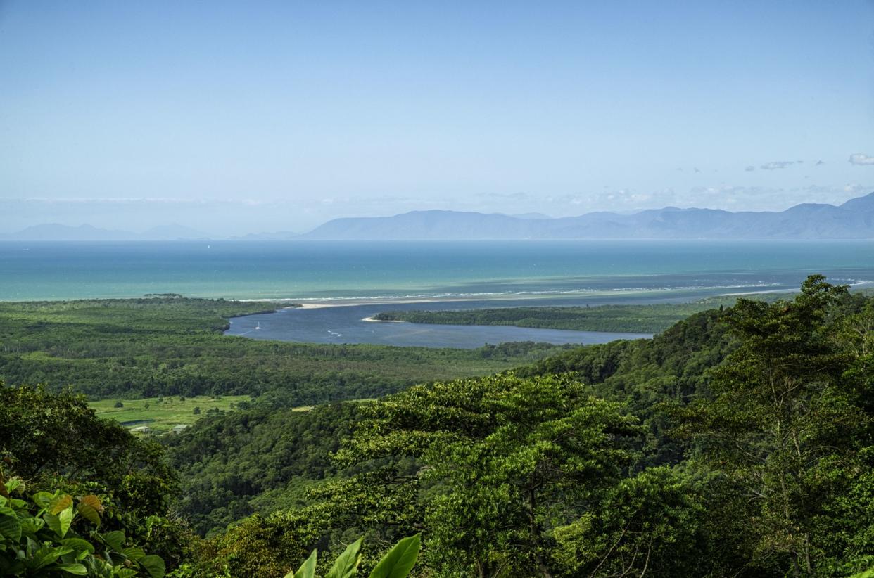 Daintree Rainforest