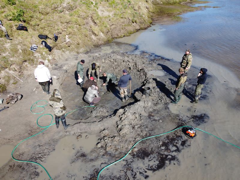 Specialists discover mammoth bones along the shore of Pechevalavato Lake in the Yamalo-Nenets autonomous distric