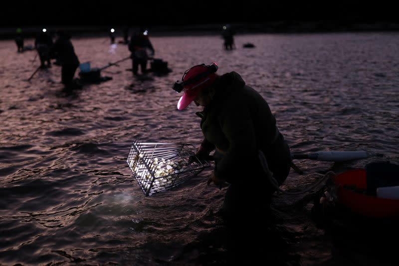 Galicia's traditional shell-fisherwomen pass the torch to a new generation