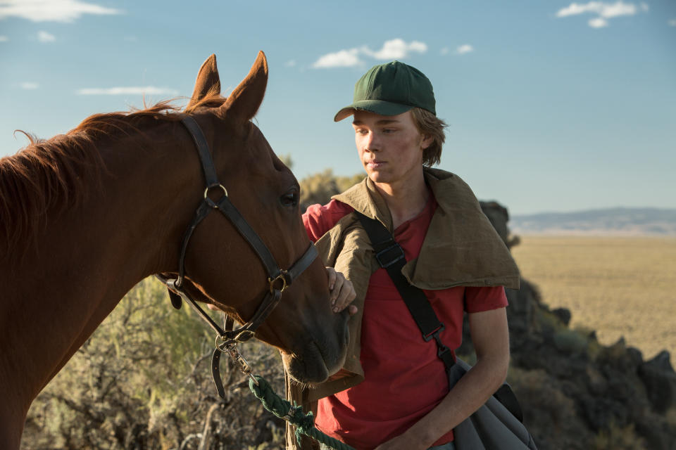 The best of the horse movies is "<a href="https://www.huffingtonpost.com/entry/3-movies-to-see-in-april-lean-on-pete-where-is-kyra_us_5acbbab8e4b09d0a1196623f">Lean on Pete</a>," an exceptionally sad (that's a good thing!)&nbsp;travelogue about an orphan (the miraculous Charlie Plummer) seeking solace with his equestrian companion. No writer-director working today is better at capturing the gray areas of relationships than Andrew Haigh, who has hit consistent home runs with "Weekend," "45 Years" and HBO's "Looking." Here, he trains his gifts on a coming-of-age tale that evokes "The 400 Blows" and "Boyhood" with a tender resolve often reserved for female protagonists. It's a wonder.
