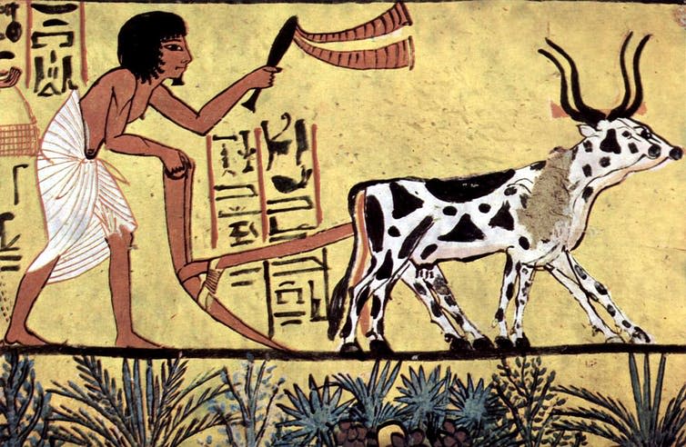 <span class="caption">Agriculture has many disadvantages over hunting.</span> <span class="attribution"><a class="link " href="https://en.wikipedia.org/wiki/Ancient_Egyptian_agriculture#/media/File:Maler_der_Grabkammer_des_Sennudem_001.jpg" rel="nofollow noopener" target="_blank" data-ylk="slk:Wikipedia;elm:context_link;itc:0;sec:content-canvas">Wikipedia</a></span>