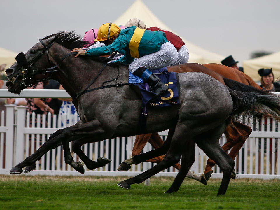 Olivier Peslier on Coronet wins the Ribblesdale Stakes: Getty