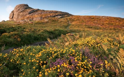  Dartmoor National Park, Devon - Credit: Moorefam/Moorefam