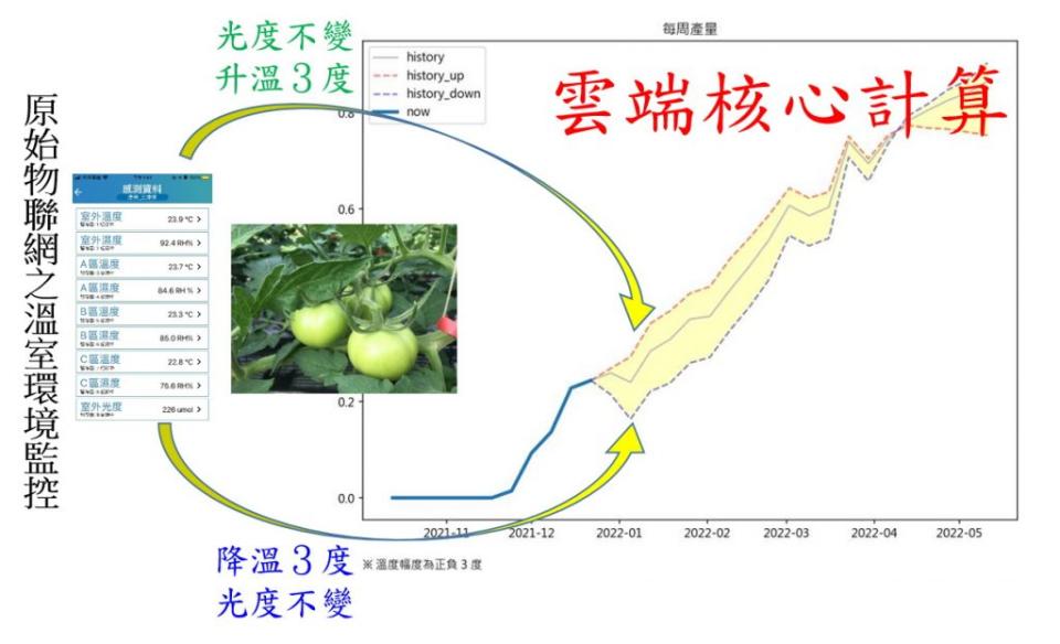 農試所利用智慧科技，可預估未來一週農作物的產量。（農試所提供）