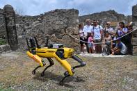 <p>Los que están encantados con la presencia de Spot son los visitantes de Pompeya, que se han encontrado con una atracción extra e inesperada en un sitio ya de por sí lleno de historia y magia. (Foto: Andreas Solaro / AFP / Getty Images).</p> 