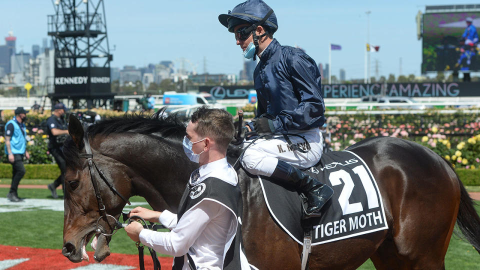 Kerrin McEvoy, pictured here on Tiger Moth at the Melbourne Cup.