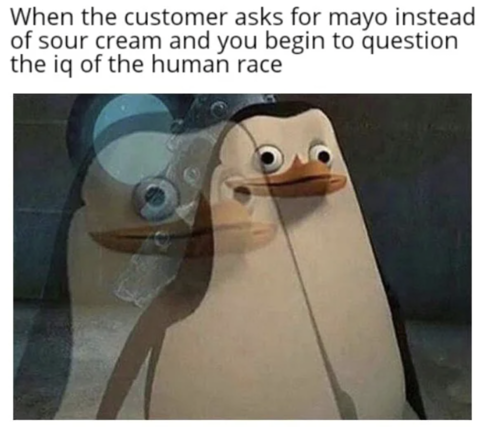 confused penguin