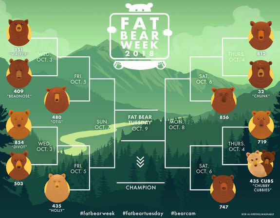 The 2018 Fat Bear Week bracket is missing bear 410.