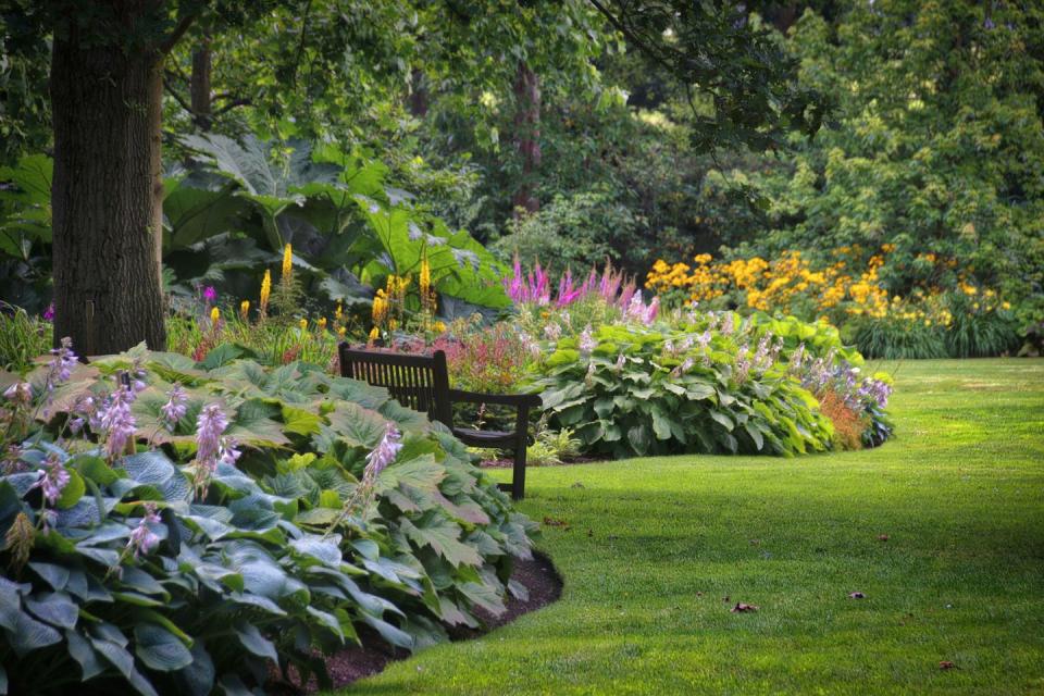 landscape ideas that look expensive edged beds