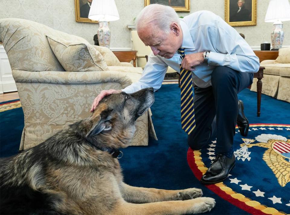 President Joe Biden, Champ