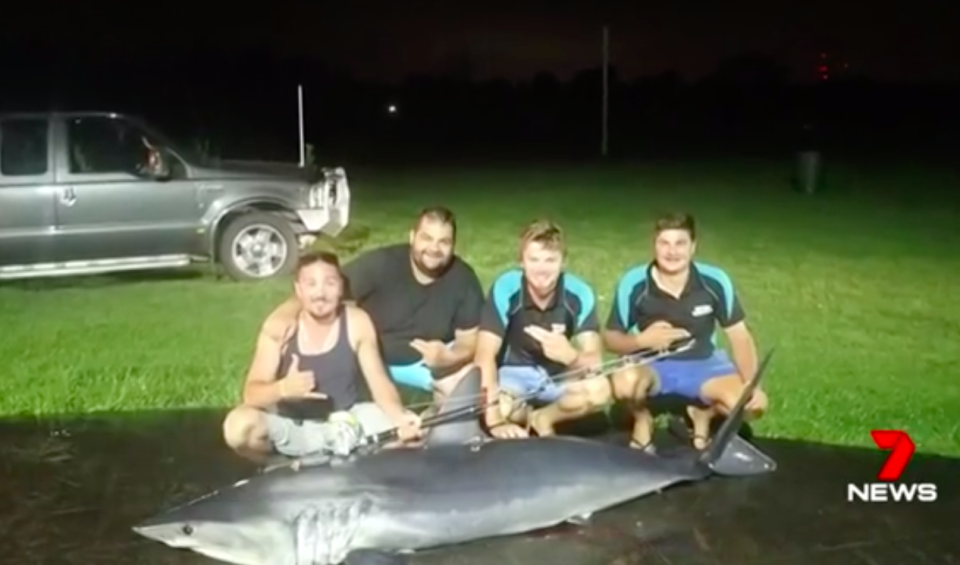 It is unclear whether the shark was too big for the boat or the men were merely parading their catch. Source: 7News