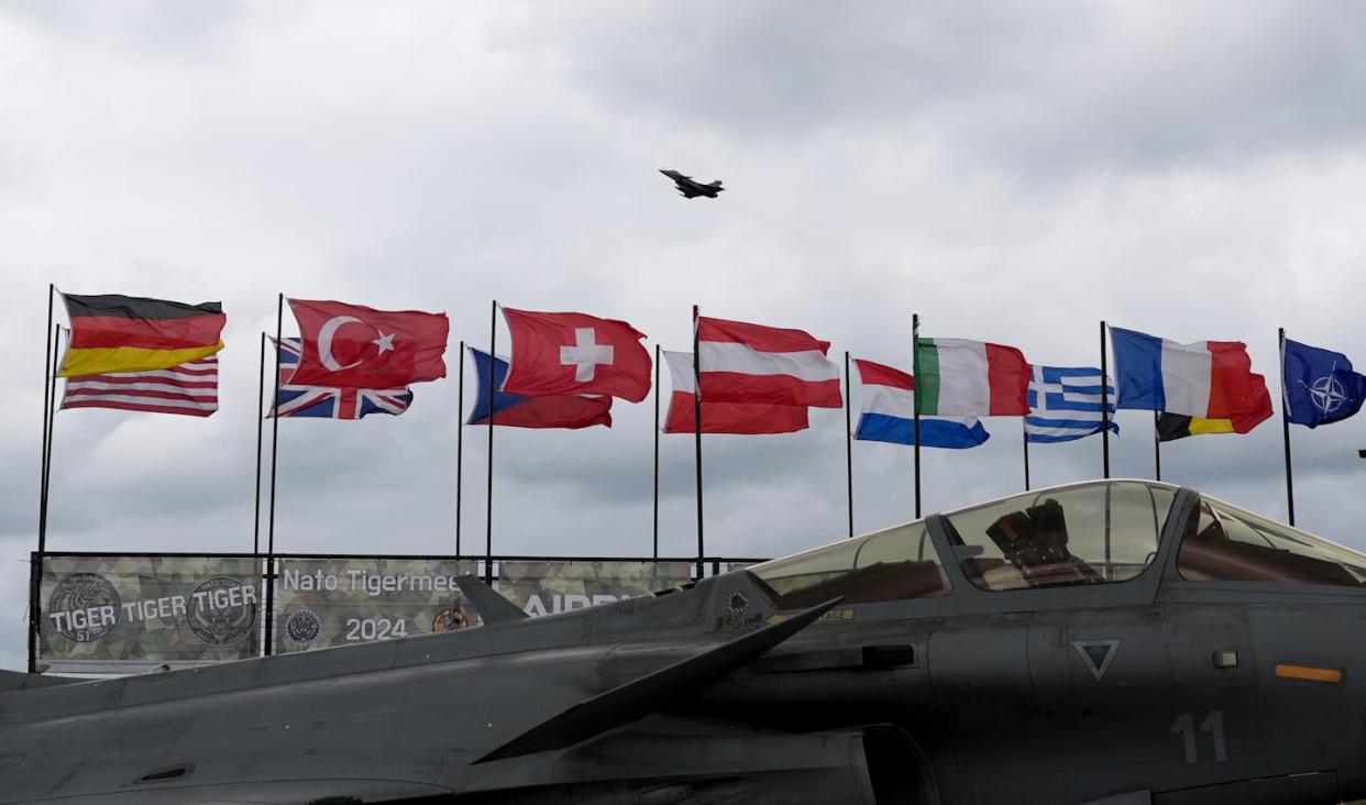 The national flags of some NATO countries fly during an Air Force exercise in Germany on June 11, 2024. <a href="https://www.gettyimages.com/detail/news-photo/june-2024-schleswig-holstein-jagel-the-national-flags-of-news-photo/2156767266?adppopup=true" rel="nofollow noopener" target="_blank" data-ylk="slk:Marcus Brandt/picture alliance via Getty Images;elm:context_link;itc:0;sec:content-canvas" class="link ">Marcus Brandt/picture alliance via Getty Images</a>