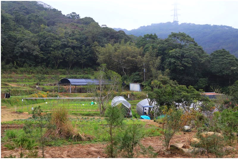 台北｜內湖採草莓，順遊大崙頭山小百岳、白石湖吊橋及碧山巖