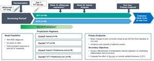 Objective: The LUNA trial is a multicenter, double-masked, randomized, parallel-group Phase 2 study evaluating a one-time IVT injection of either of two doses of Ixo-vec (ADVM-022), including 2x10^11 vg/eye (2E11) dose and a new, lower 6x10^10 vg/eye (6E10) dose in 72 patients.