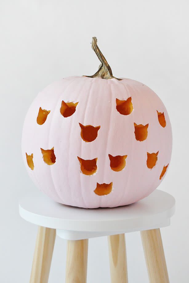 Cat Drilled Pumpkin