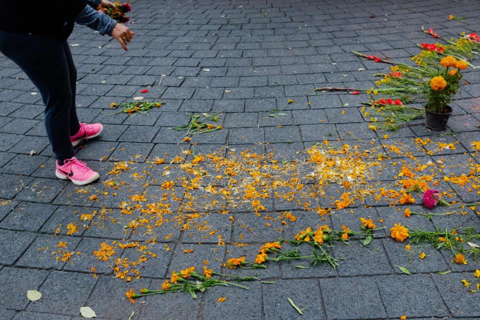 Flower petals scattered to form the camino, or trail, for souls to pass to the ofrenda.
