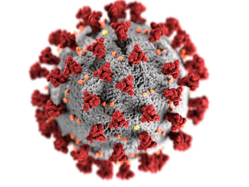 coronavirus molecules