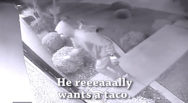 Forget thieves. Sell tacos. Photo: Screenshot