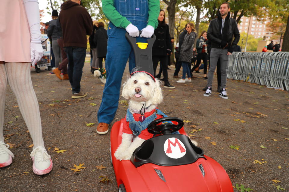 NYC pups in cute and creative costumes for annual Halloween Dog Parade