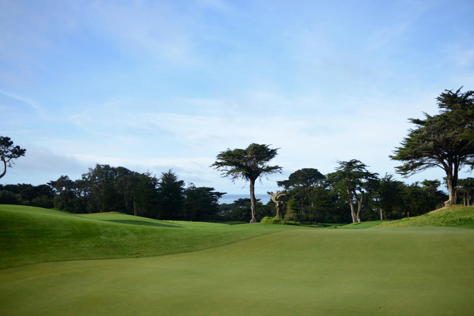 Golden Gate Park