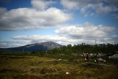 Cloudberry pickers walk through an area of marshland at a research post at Stordalen Mire, near Abisko