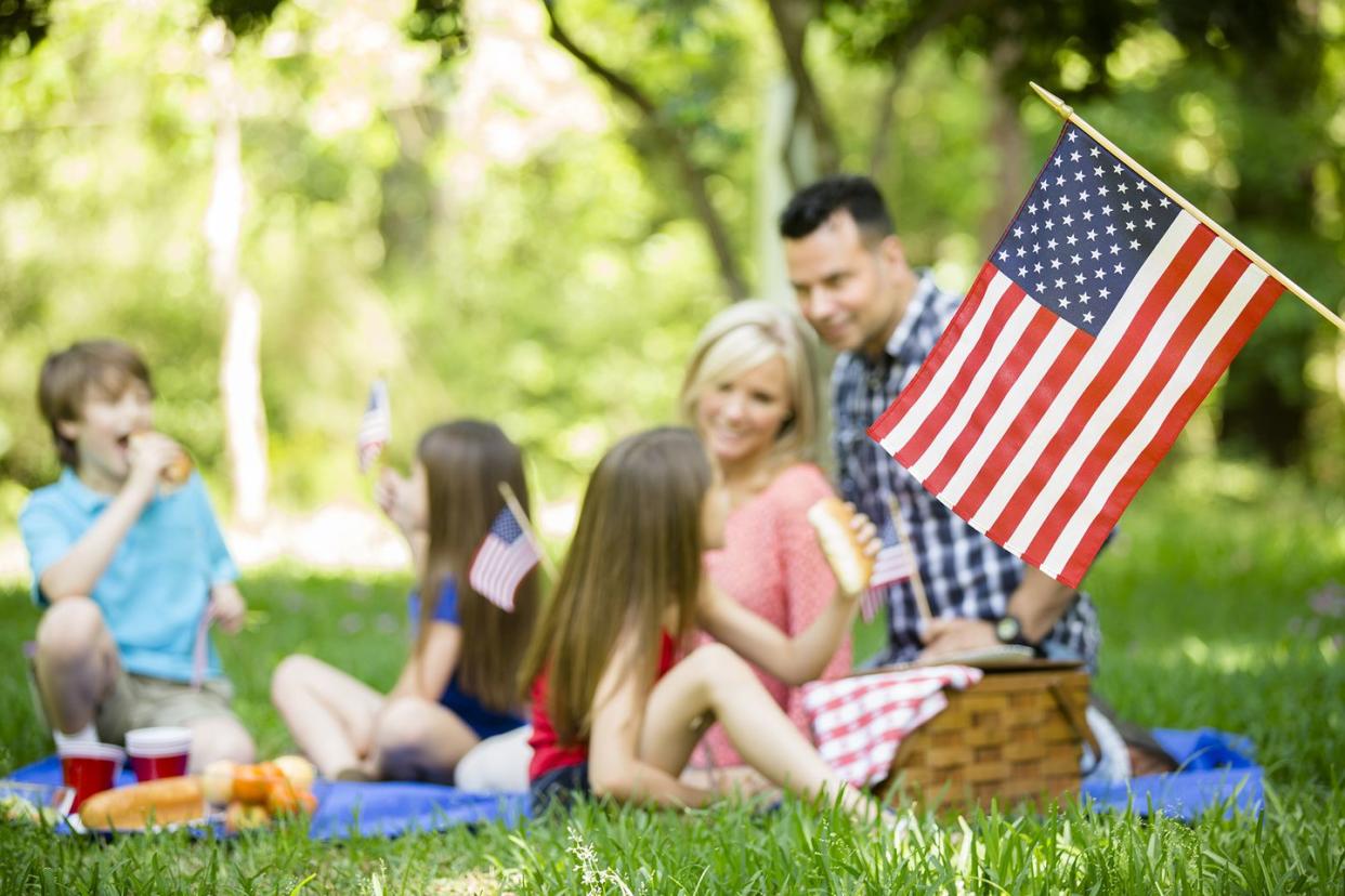 fourth of july picnic being enjoyed by a family