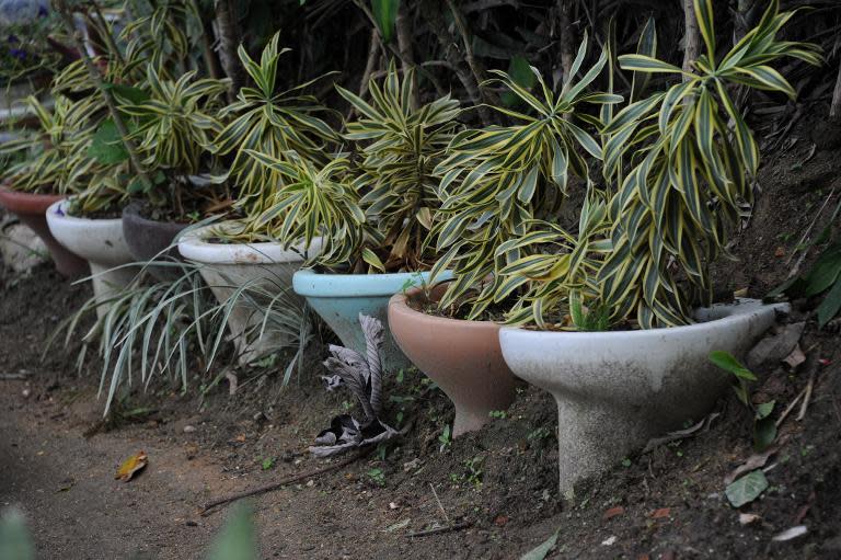 Toilet seats prove useful as plant pots in Sitie Ecological Park at Vidigal Hill in Rio de Janeiro, Brazil on May 14, 2015