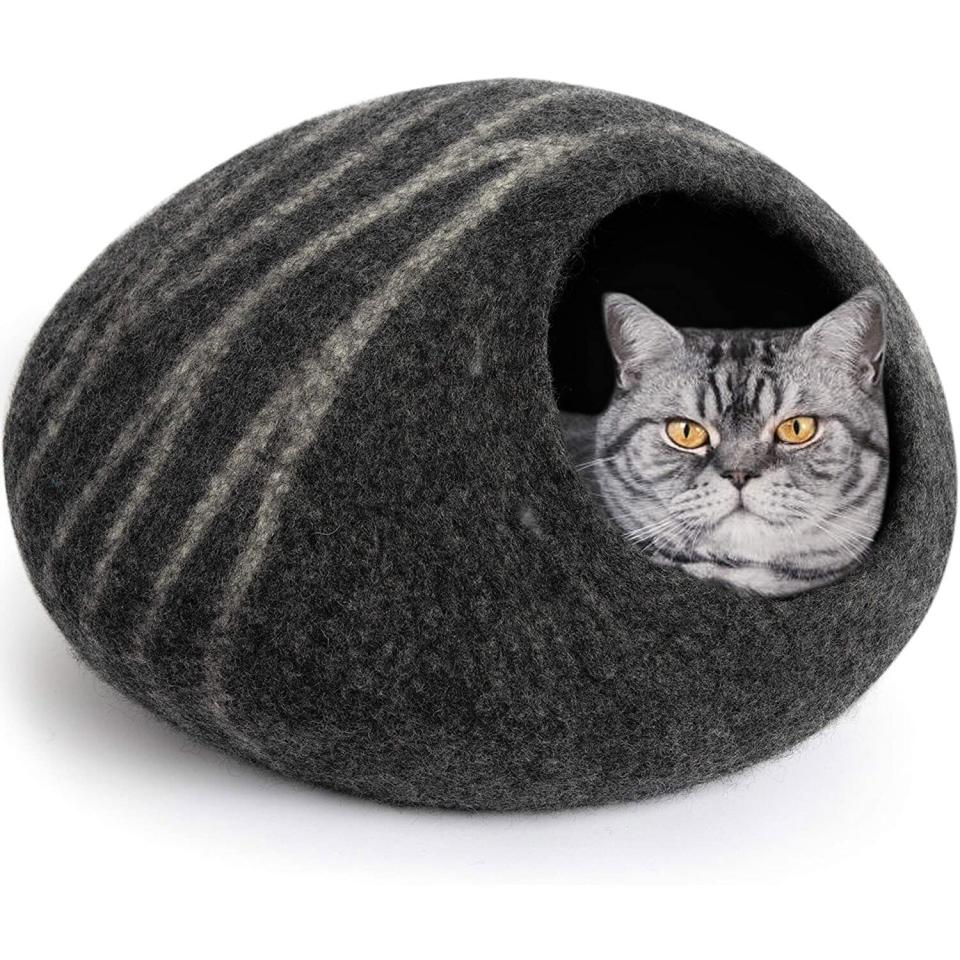 cat bed