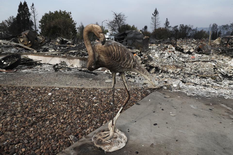 <p>A burned lawn with a flamingo ornament are seen in front of a destroyed home in Santa Rosa, Calif., Oct. 10, 2017. (Photo: John G. Mabanglo/EPA-EFE/REX/Shutterstock) </p>