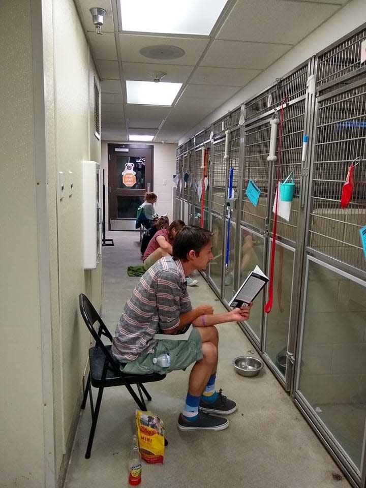 Volunteers comfort animals at the Kentucky Humane Society during Fourth of July fireworks.