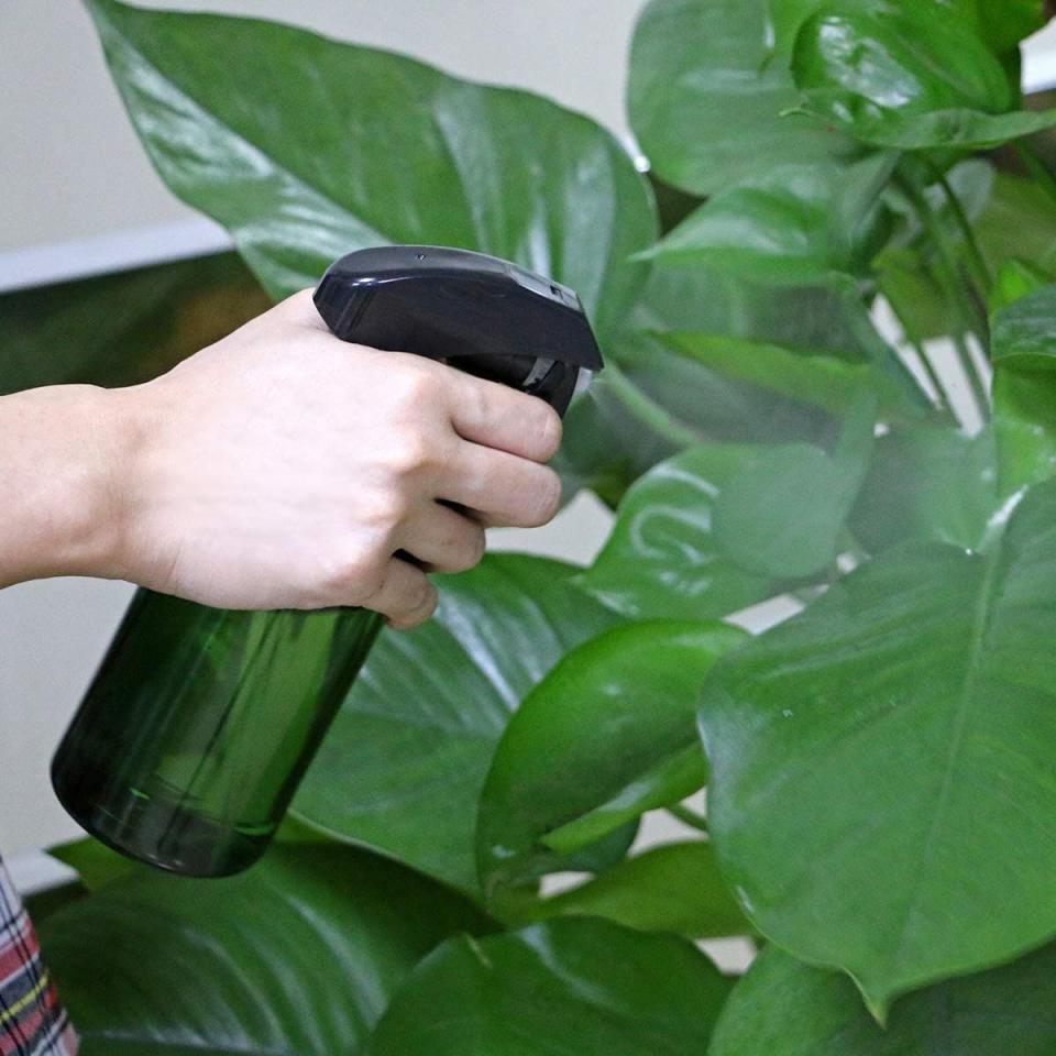 1) Plant Mister Spray Bottle
