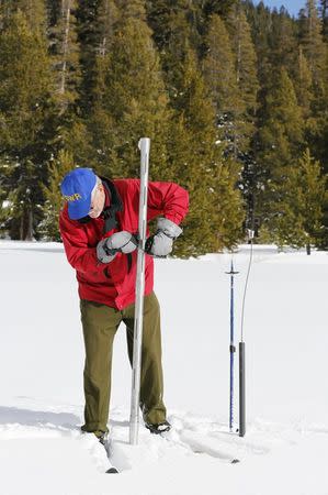 Frank Gehrke takes a snowpack measurement during the first snow survey of winter conducted by the California Department of Water Resources in Phillips, California, December 30, 2015. REUTERS/Fred Greaves