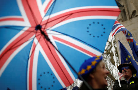 Anti-Brexit protesters demonstrate outside the Houses of Parliament, ahead of a vote on Prime Minister Theresa May's Brexit deal, in London, Britain, January 15, 2019. REUTERS/Henry Nicholls