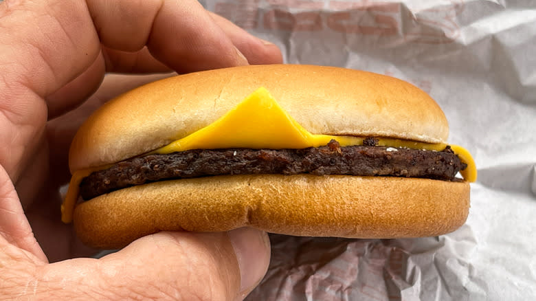 hand holding burger