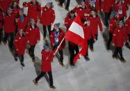 Austria's flag-bearer Mario Stecher leads his country's contingent during the opening ceremony of the 2014 Sochi Winter Olympics, February 7, 2014. REUTERS/Lucy Nicholson (RUSSIA - Tags: OLYMPICS SPORT)