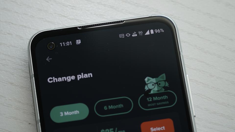 Change plans close up on Mint Mobile app showing multi-month options