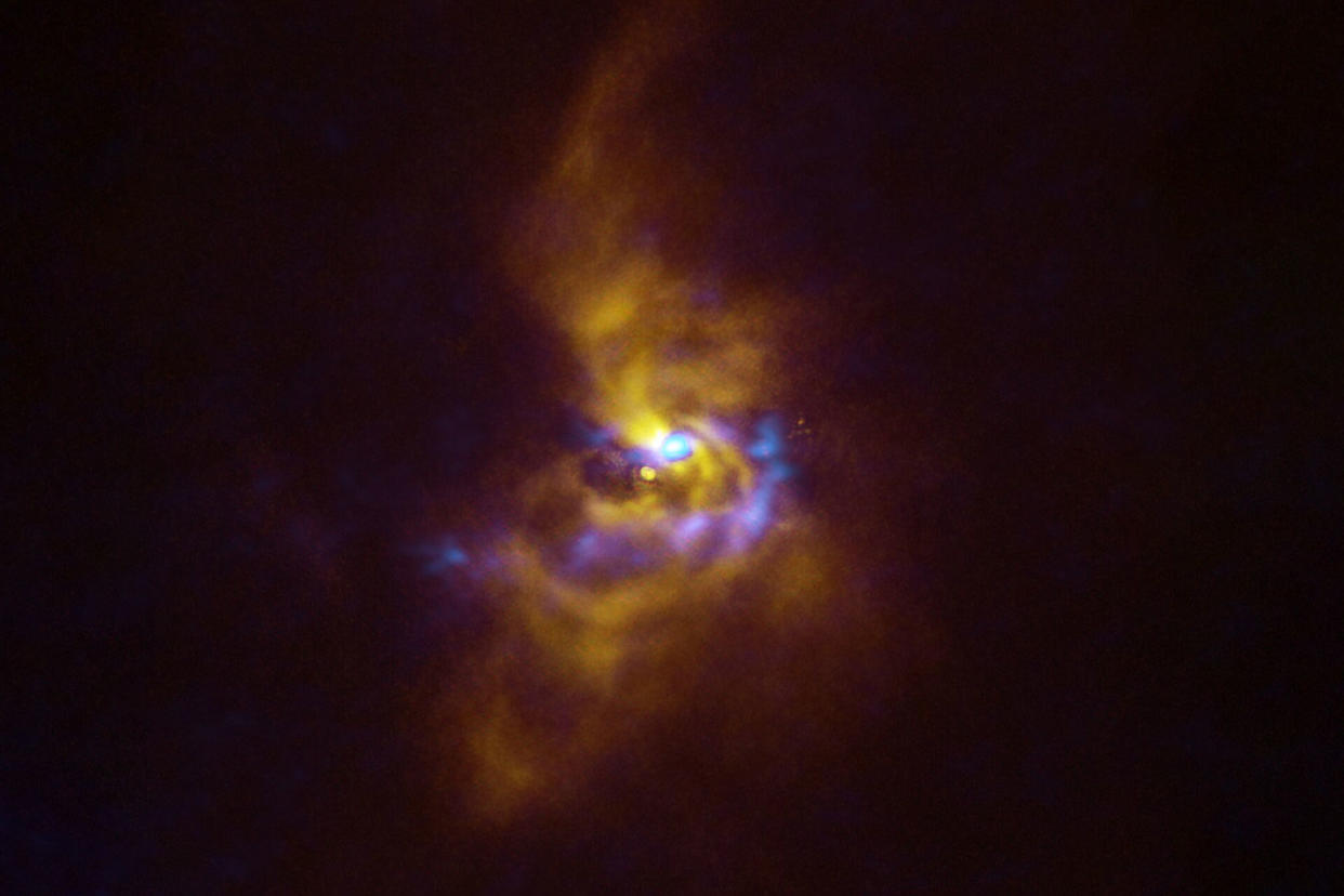 At the centre of this image is the young star V960 Mon ESO/ALMA (ESO/NAOJ/NRAO)/Weber et al.