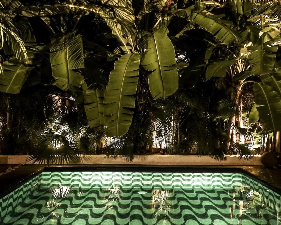 The Tribal Hotel is making waves with its pool design. (Pun fully intended.)